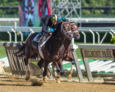 2023 Belmont Stakes .